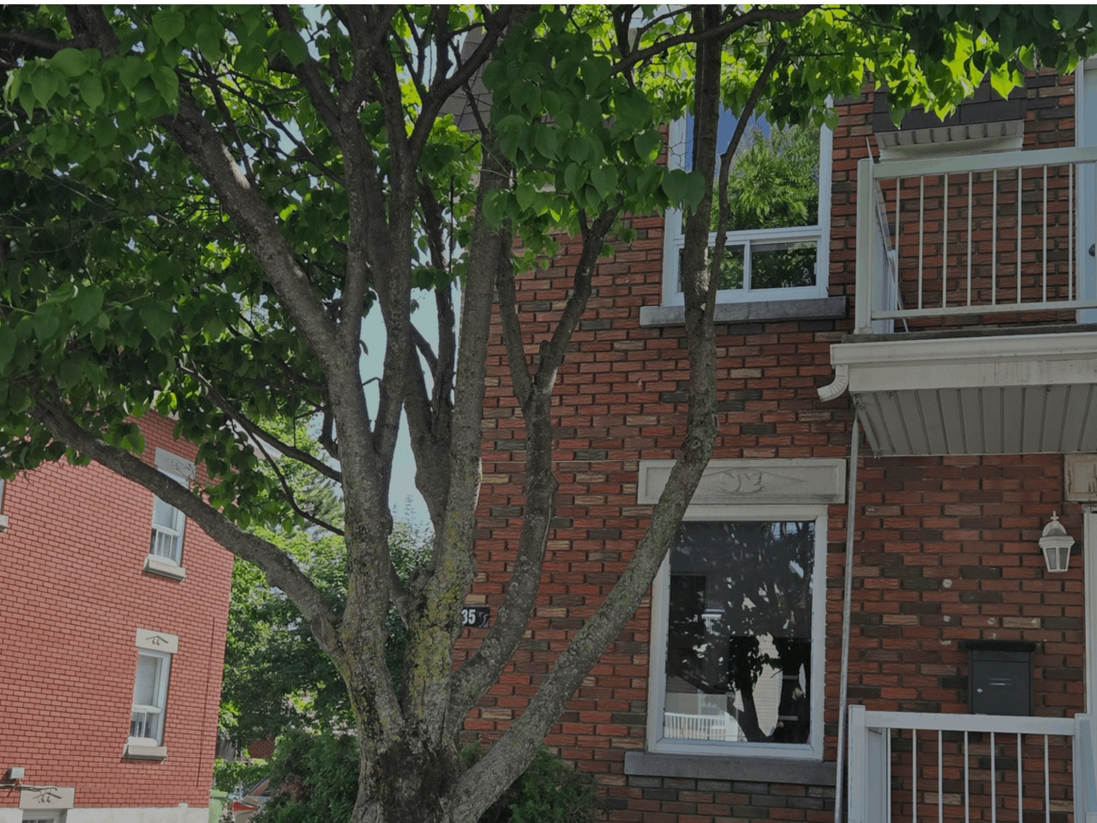 Friperie à Proximité